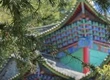 道光年間的環(huán)保碑文竟暗合現(xiàn)代法律？